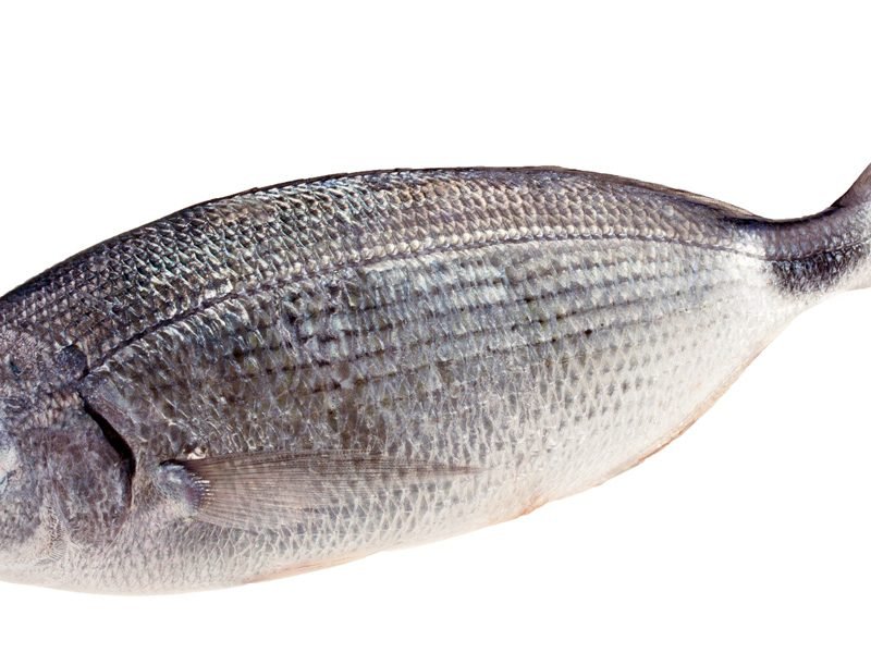 pesce magro per il sushi